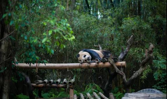 粤港澳论坛 广东旅游 亲子旅游推荐-大湾网 广东十五大亲子游景点(图4)
