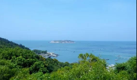 粤港澳论坛 广东旅游 亲子旅游推荐-大湾网 广东十五大亲子游景点(图8)