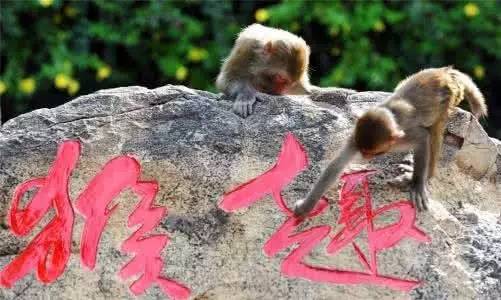 中国最好玩的亲子游目的地去这4个地方就够了广州绝对上榜啊！(图5)