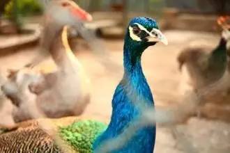 中国最好玩的亲子游目的地去这4个地方就够了广州绝对上榜啊！(图10)