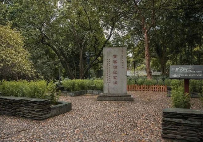 惠州篇 国庆亲子游去哪里？大脚丫小脚丫丈量每一寸土地(图5)
