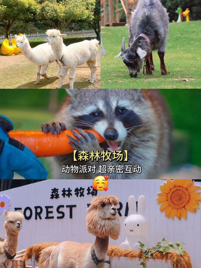 N+1种花式遛娃法轻松拿捏暑假！(图5)