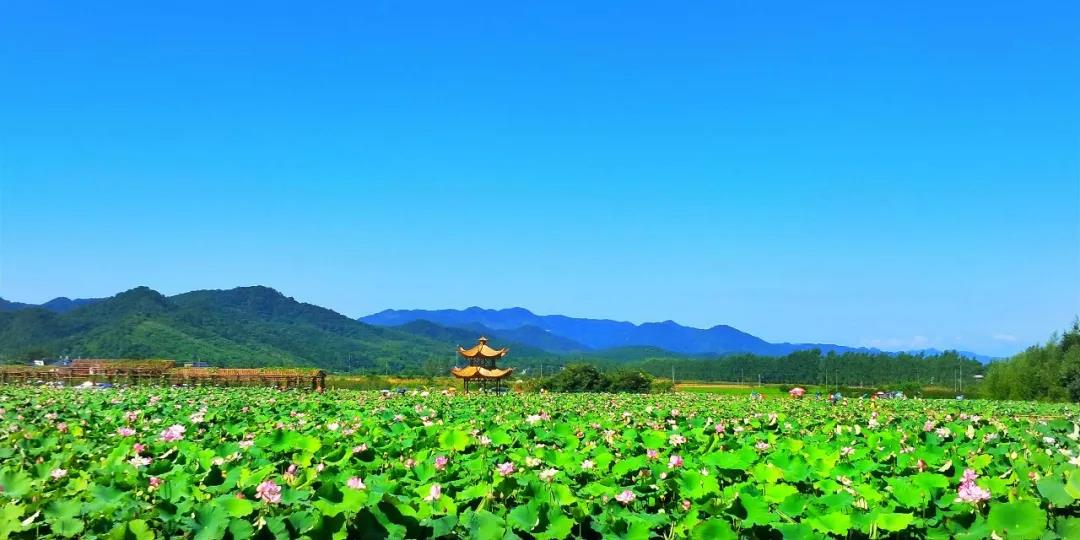 国庆节带孩子去北京旅游五天四晚多少钱？北京亲子游5日游攻略