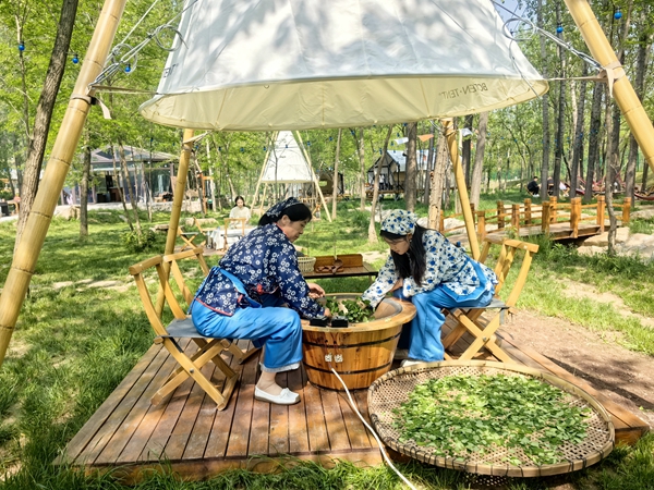 炎炎夏日带娃出游成了不少家长的首选我整理了几个亲测好玩的暑假亲子游目的地