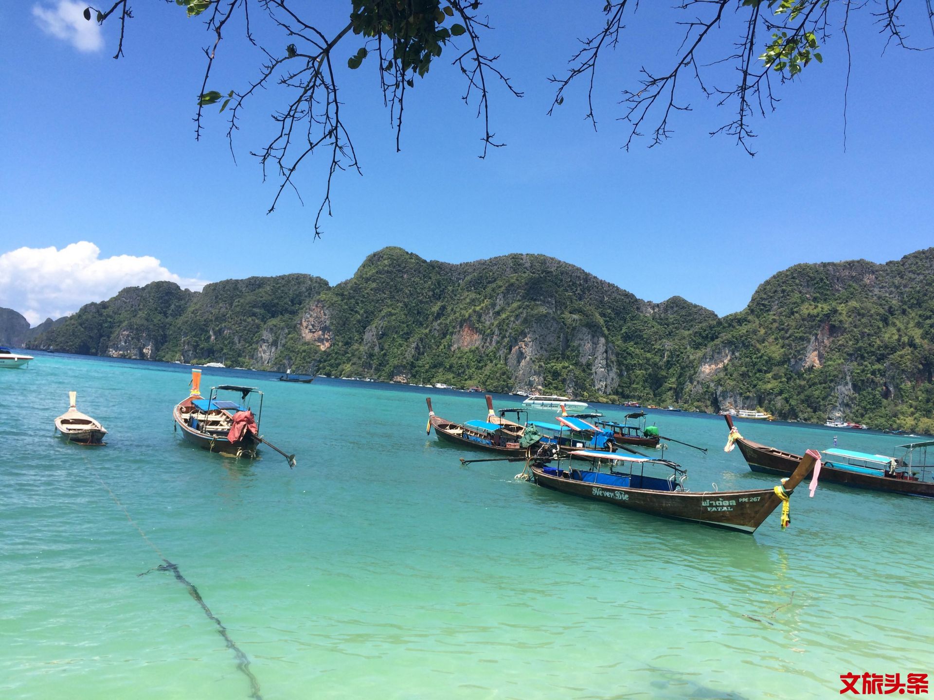 暑期亲子游大合集一家人在一起才是真正的旅行(图1)