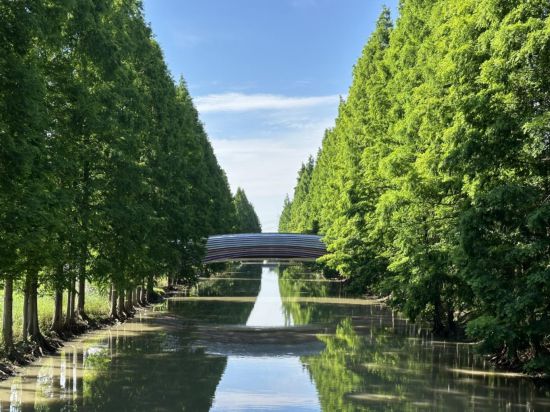 秋日親子出游樂趣多！發現滬上的遛娃寶藏公園(图5)