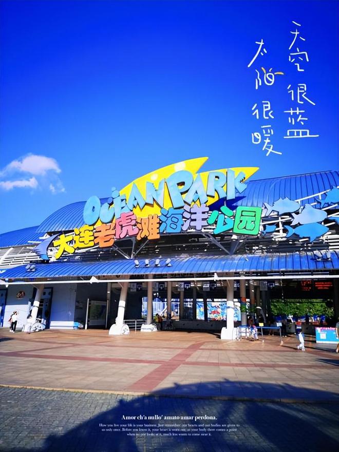 去大连亲子游6天5晚旅游推荐去大连六日游亲子团路线推荐(图3)
