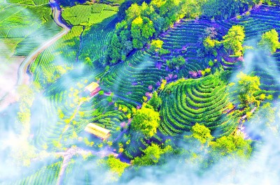 文化根深 旅游叶茂——看福建如何以时代精神激活文旅产业高质量发展(图1)