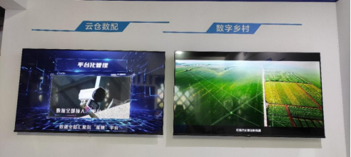 完美世界文化创意有限公司总经理张瑞