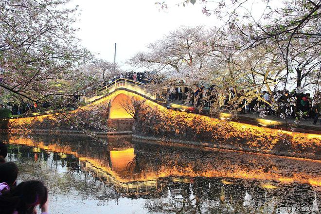 清明节出行必看精选多条适合亲子的旅游线路(图3)