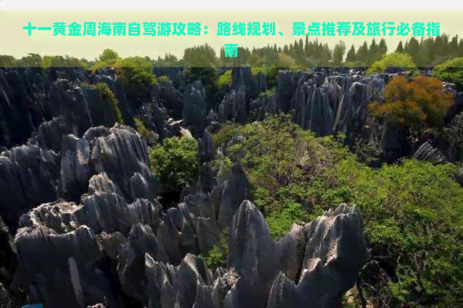 十一海南亲子旅游推荐(图4)