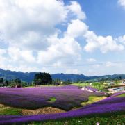 北京城市副中心将建世界级旅游度假区