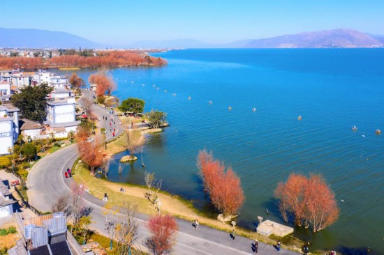 旅居大理这份亲子游攻略请收好→(图13)