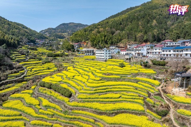让诗意栖居可触可感：文旅融合的乡村美学实践(图2)
