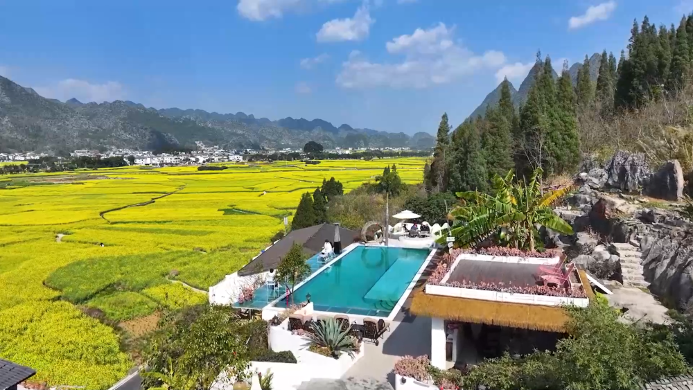 “颜值”变“产值” “赏花+”催动文旅消费活力(图7)