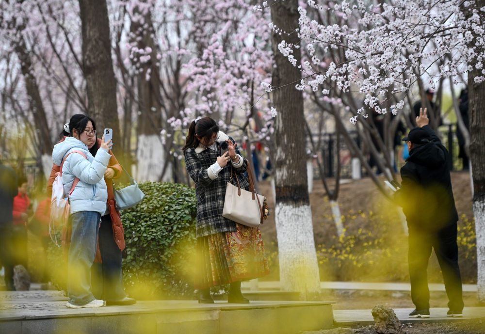 “颜值”变“产值” “赏花+”催动文旅消费活力(图8)