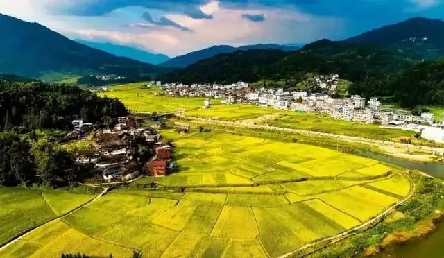 浙旅投旗下雷迪森酒店集团与湖北数字文旅集团签订会员互通合作协议