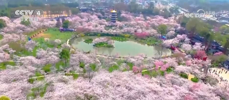科技赋能各地文旅“多点开花” 特色标签让“小地方”赢得“大流量”(图1)