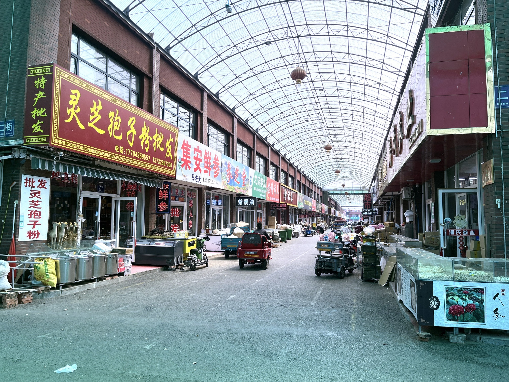 有座县城叫通化县：石韵参香绘就文旅融合新画卷(图8)