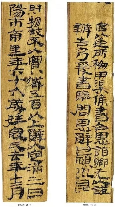 “黄河金岸百合之都”——多彩七里河6条精品旅游线路邀您打卡！(图2)