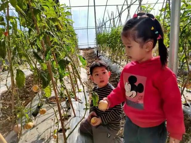桂林市七星区朝阳乡乡村特色文旅“破圈出彩”