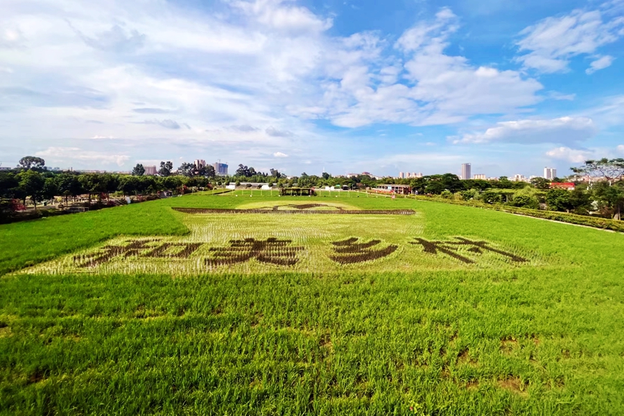 1700余场活动、7条主题游线路北京加码端午假期文旅市场供给