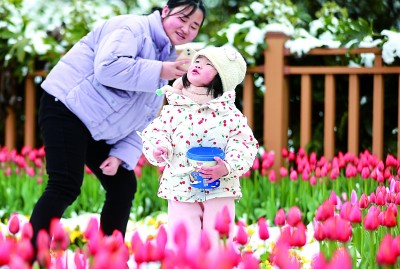 文旅消费如何“出圈”又“出彩”(图4)