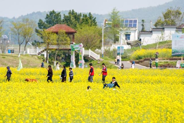 日丽福建丨六一厦门亲子奇游点亮每个童梦