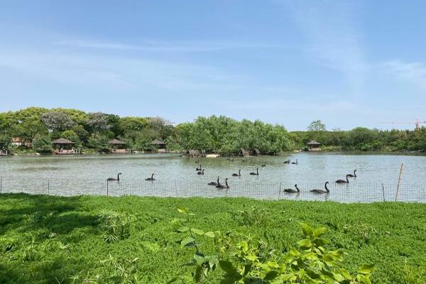 报告：慢游与亲子游有望成为小城旅游增长双引擎