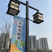 五一假期蓝莓采摘成新时尚乡村休闲度假开启亲子新体验