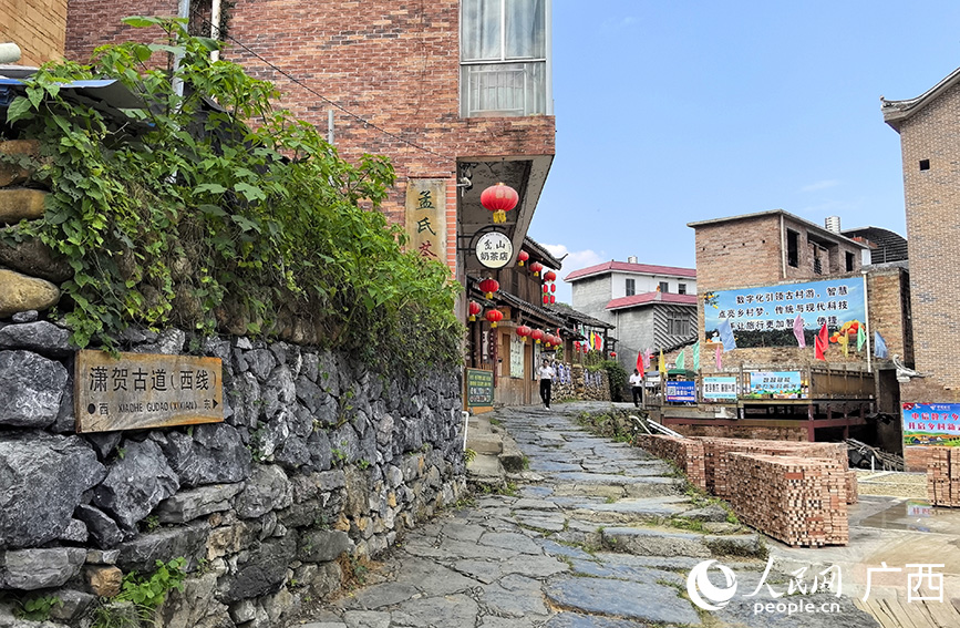 广西数字乡村建设工作现场推进会在富川县举行(图2)