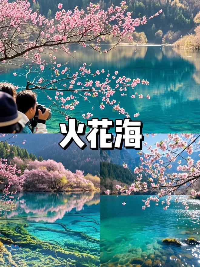 暑期带娃游四川7天6晚省钱攻略：亲子路线+秘籍(图1)