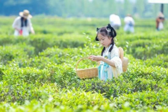 赶快收藏！上海乐高乐园周边“吃住游”全攻略(图9)