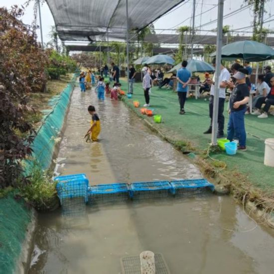 赶快收藏！上海乐高乐园周边“吃住游”全攻略(图13)