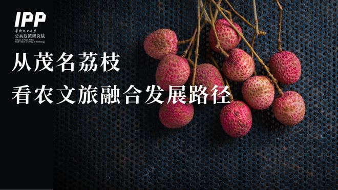 林辉煌：茂名荔枝一场农文旅融合发展的数字试验(图1)