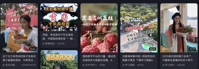 林辉煌：茂名荔枝一场农文旅融合发展的数字试验(图5)