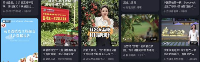 林辉煌：茂名荔枝一场农文旅融合发展的数字试验(图6)