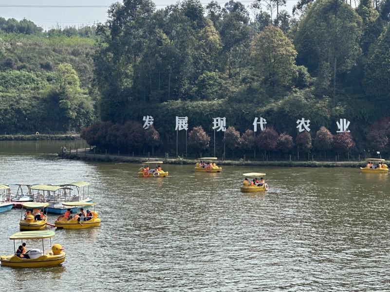 宜宾翠屏：用活空港资源 打造乡村“微度假”新场景(图1)