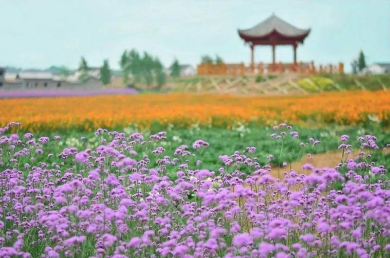 镌刻荣光 “八一”福利来啦！南充这些景区军人军属、退役军人享专属优待(图11)