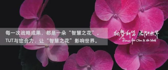 从小镇走向世界 宜家（IKEA）的全球化历程、品牌战略与启示(图7)