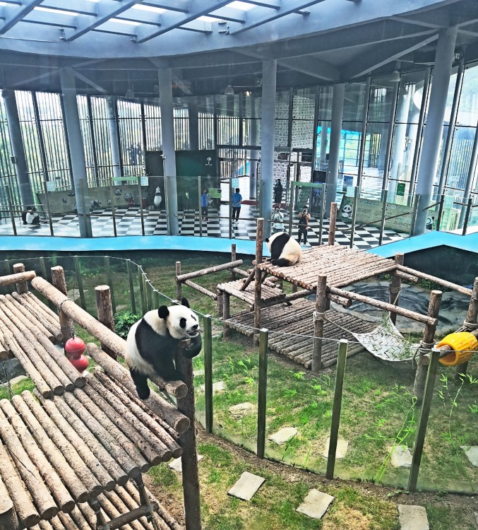 大连旅游攻略三日游如何安排（亲子休闲篇）(图2)