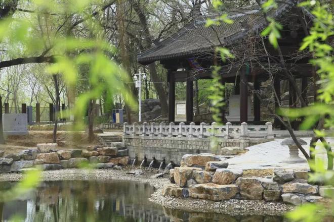 音乐节、龙舟赛、游园会端午来昌平承包你的精彩假期！(图2)