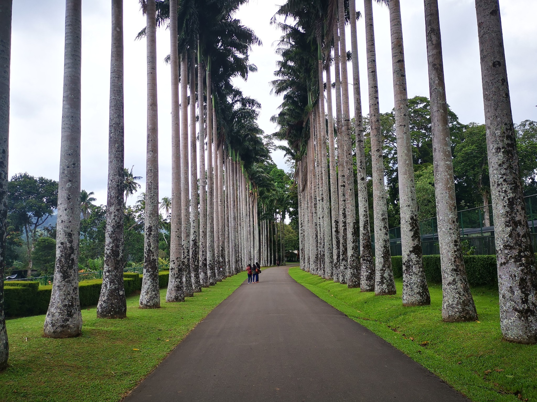事关黄石这一水上森林营地露营地 26天便接待游客6000余人
