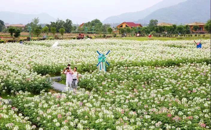 安康亲子研学前8强实测推荐千万用户选择「行业专家推荐」