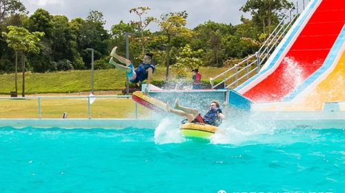 2026年春节假期湖北省文化和旅游市场情况综述