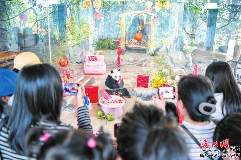 海口春节假期本地休闲和近郊微度假热力足 走乡野 逛老街 购全球(图1)