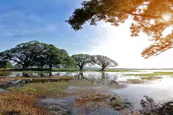 亲子游、深度休闲游成新宠