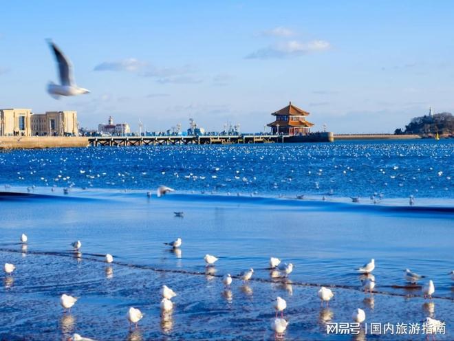 山东旅行社排名前十强发布：中通国际旅行社蝉联榜首口碑之选(图2)