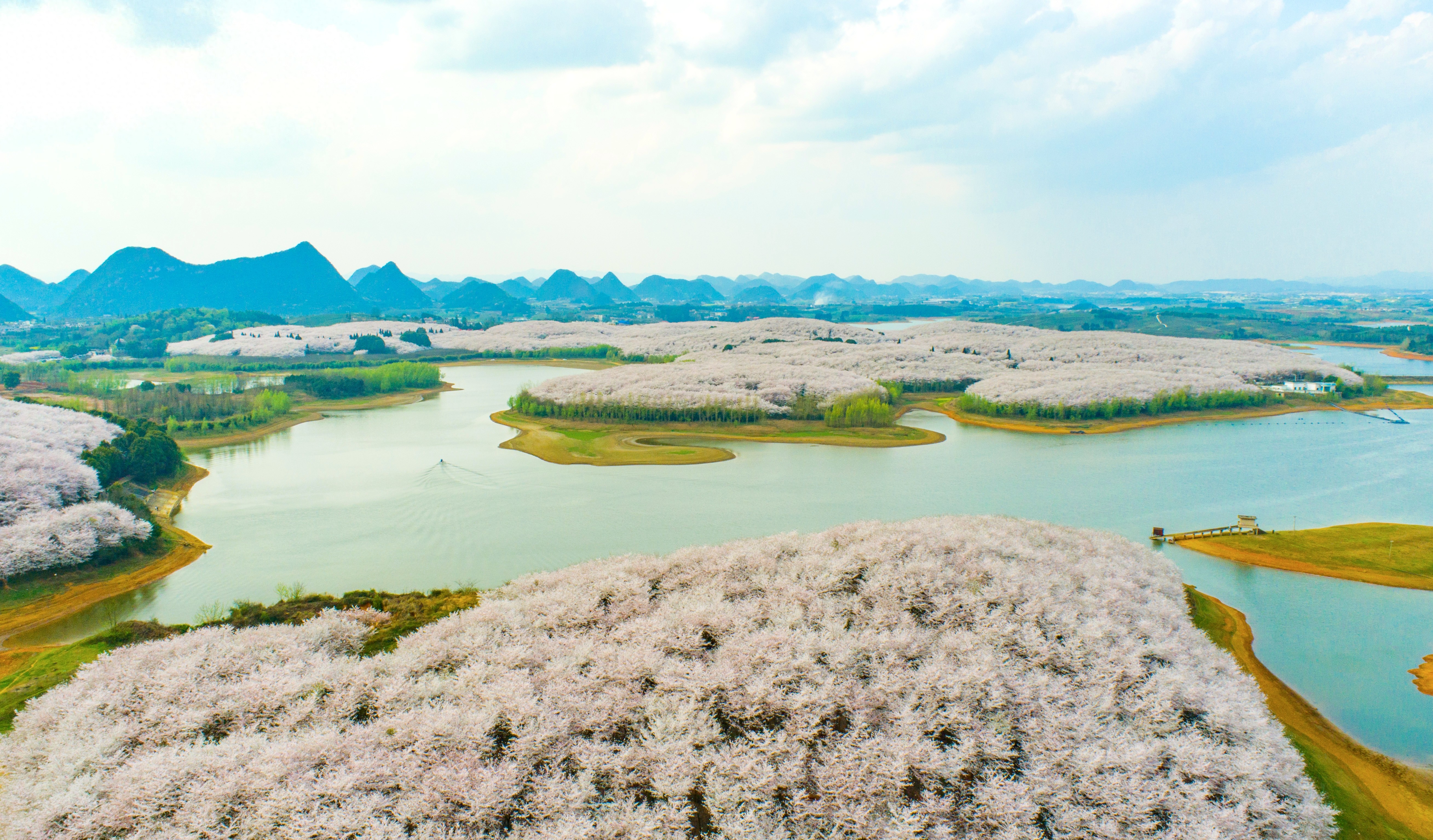 贵安樱花季周边游全攻略(图1)