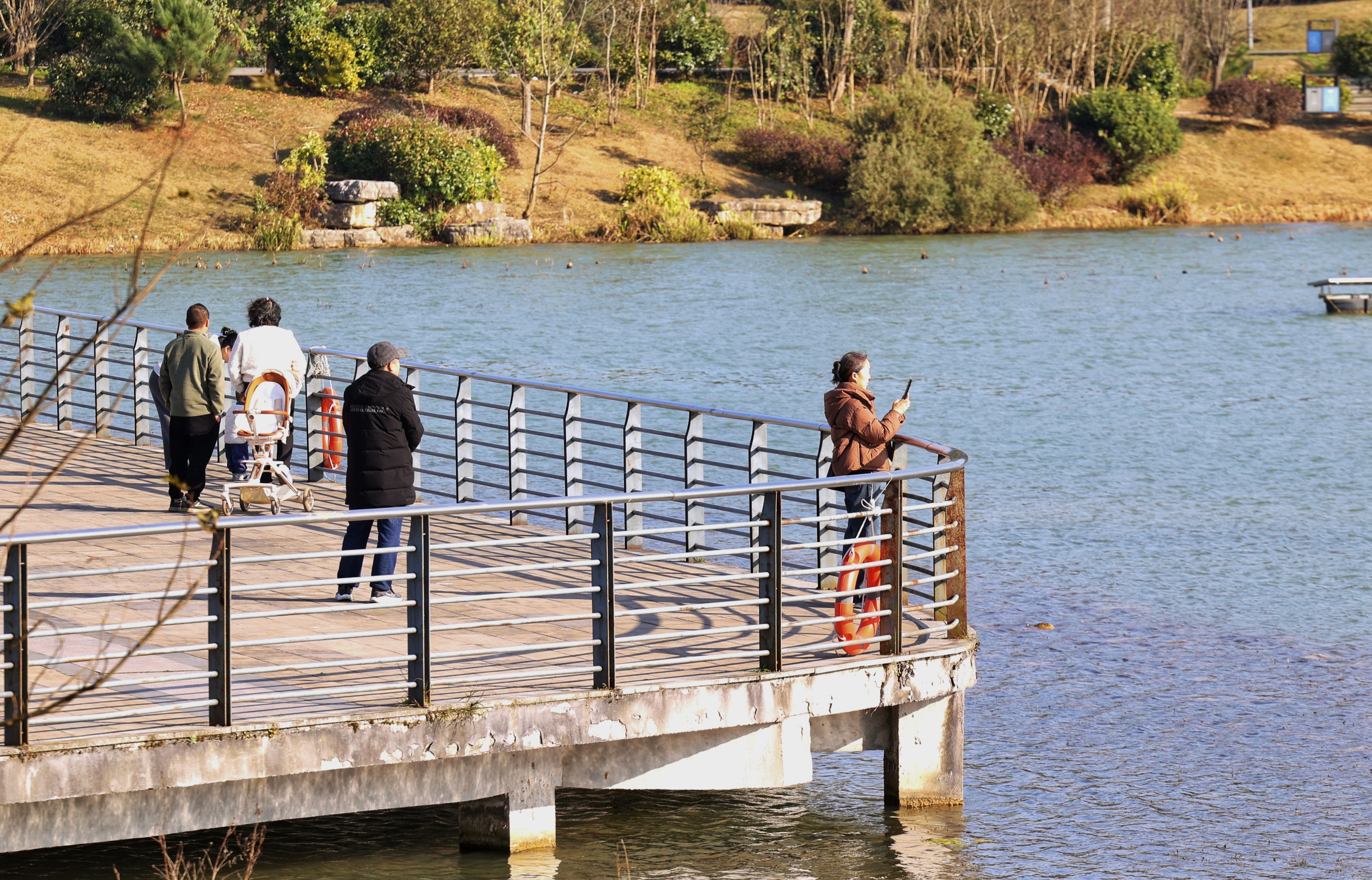 贵安樱花季周边游全攻略(图3)